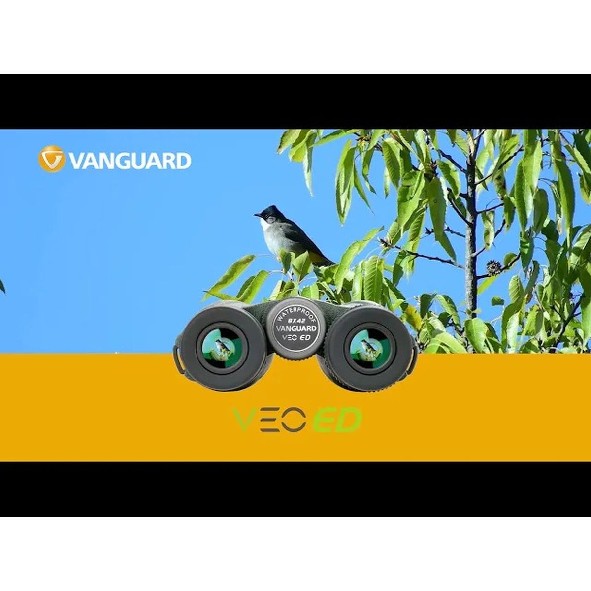 Vanguard VEO ED 8420