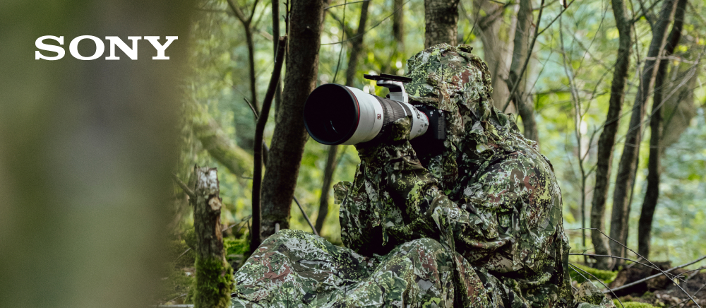 Wildlife Fotograf Michael Falk mit der Sony Alpha 7R VI und dem Sony 100-400 mm 1:4,5 GM OSS
