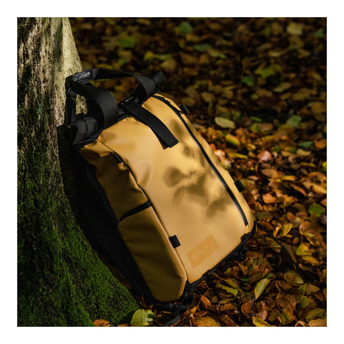 WANDRD PRVKE Lite 11-Liter Dallol Yellow - Anwendungsbeispiel: Senffarbener Rucksack lehnt an moosigem Baumstamm im Herbstlaub.