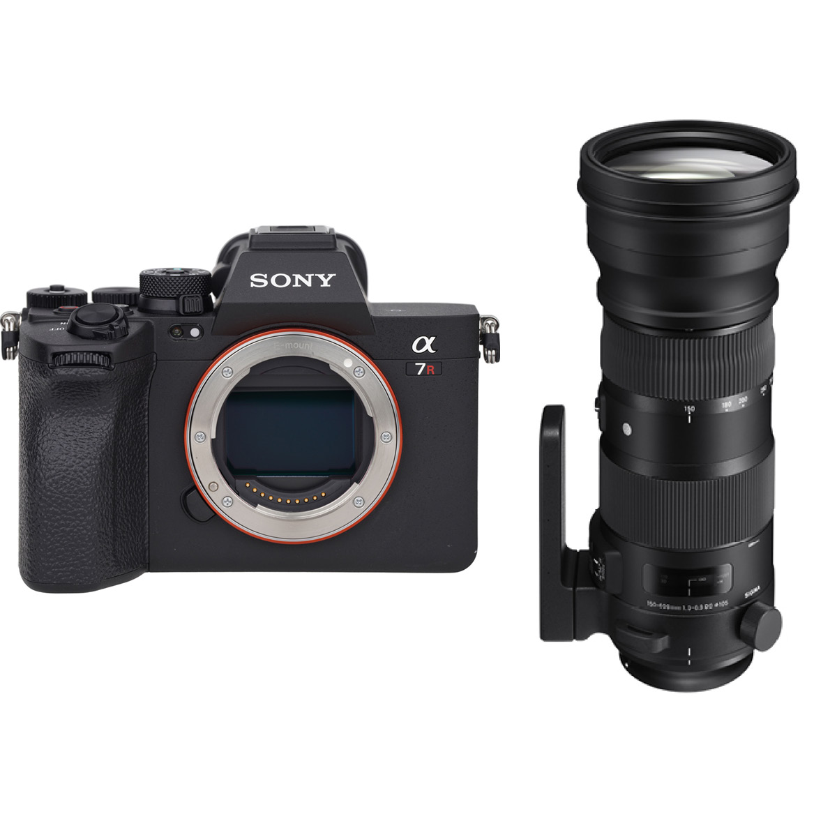 Sony Alpha 7R V + Sigma 150-600 mm 1:5-6,3 DG DN OS (S) E-Mount