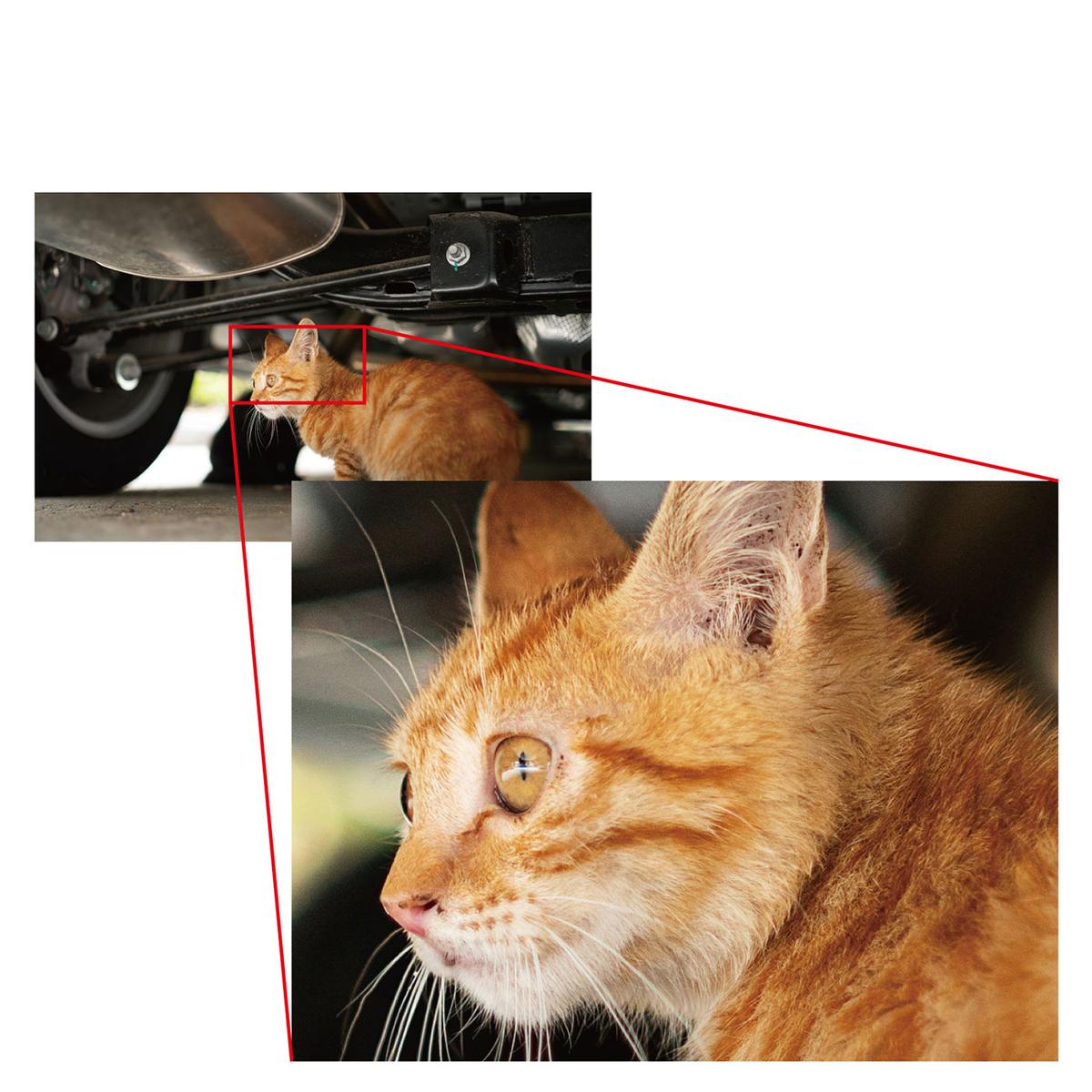 AstrHori 50mm f/2 für Fuji X