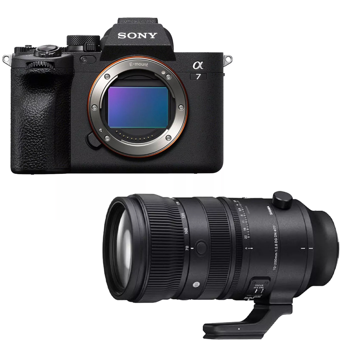 Sony Alpha 7 IV + Sigma 70-200mm F2,8 DG DN OS Sports