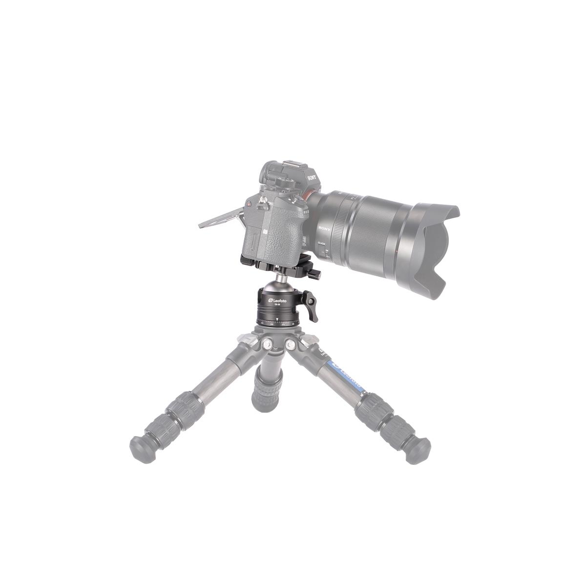 Leofoto Stativ-Kugelkopf EB-36 + Schnellwechselplatte NP-50S
