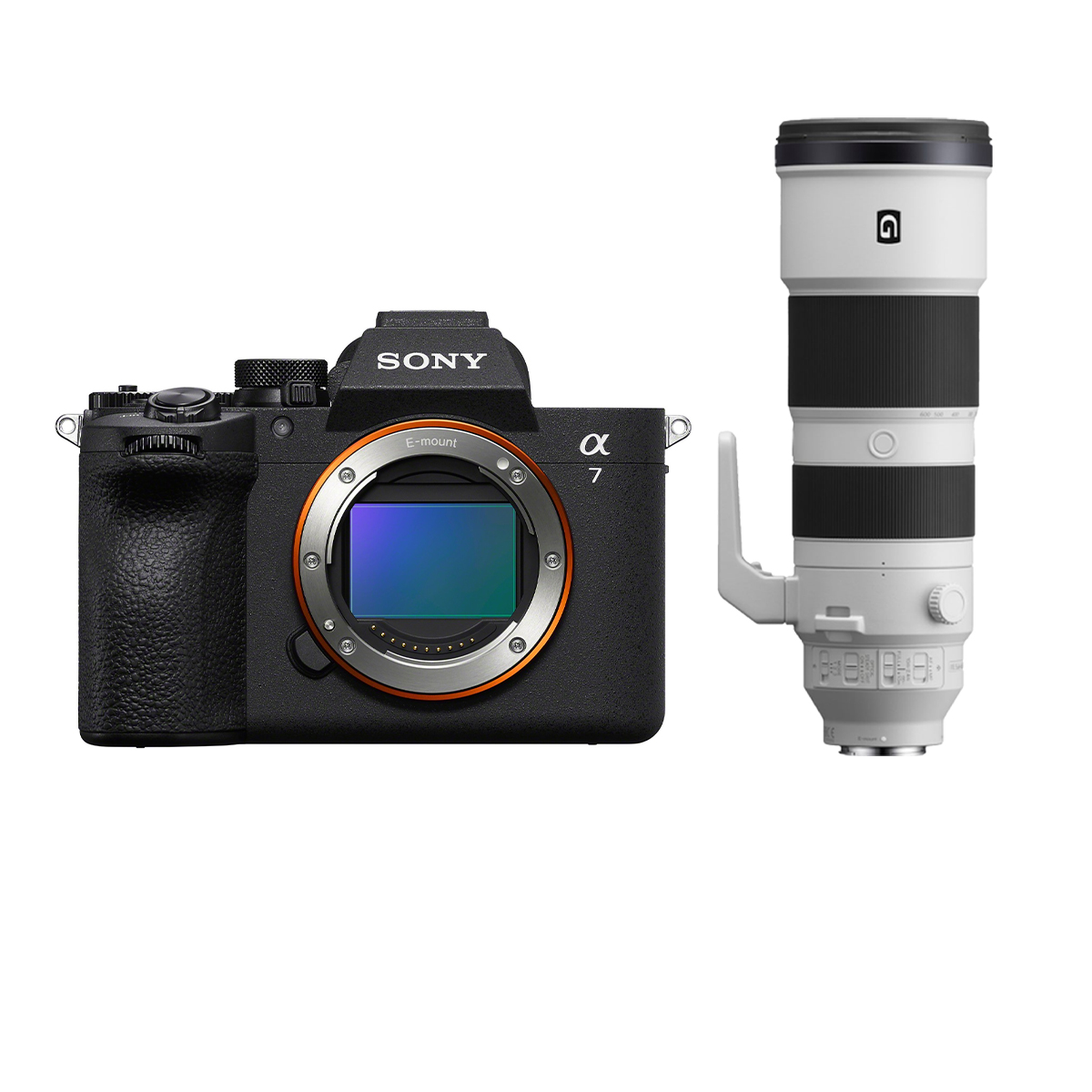 Sony Alpha 7 V + Sony 200-600 mm 1:5,6-6,3 FE G OSS 