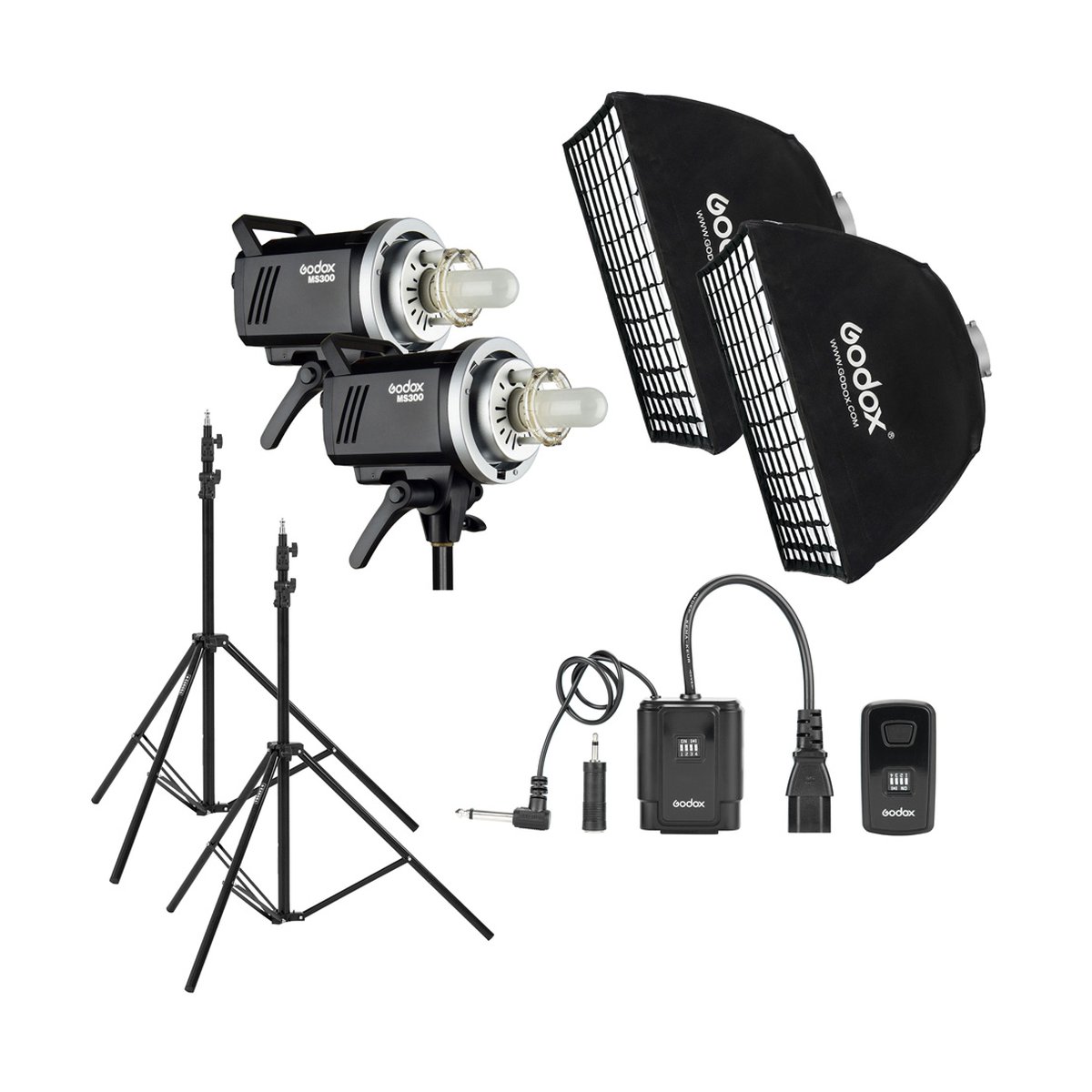 Godox MS300 Essentials Kit