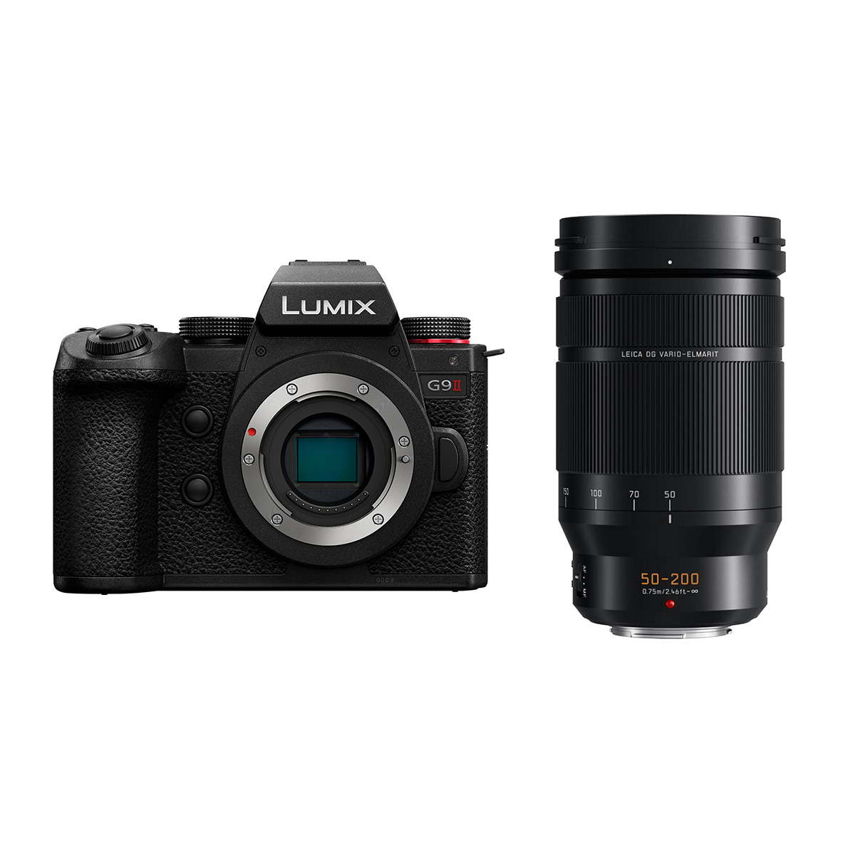 Panasonic Lumix DC-G9 II + Panasonic 50-200 mm 1:2,8-4,0 OIS Leica Panasonic Lumix DC-G9 II + Panasonic 50-200 mm 1:2,8-4,0 OIS Leica