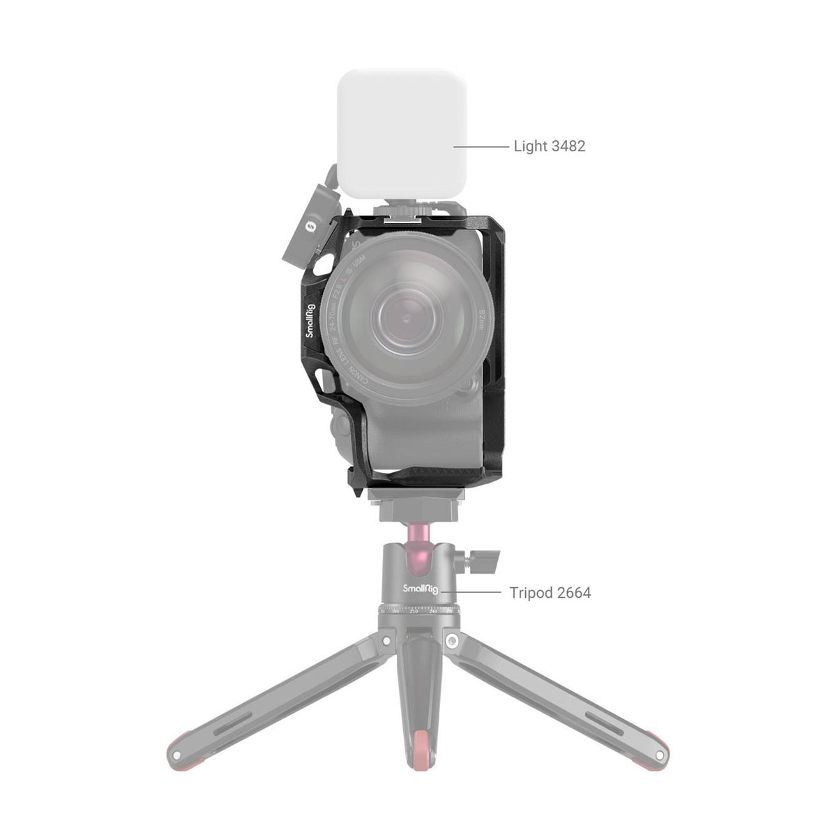 SmallRig 4004 Black Mamba Cage für Canon EOS R10 - Anwendungsbeispiel: Kamera im Käfig mit Leuchte und Stativ.