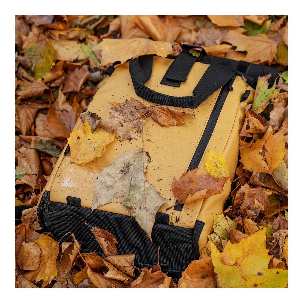 WANDRD PRVKE Lite 11-Liter Dallol Yellow - Anwendungsbeispiel: Senfgelbe Outdoor-Tasche im Herbstlaub