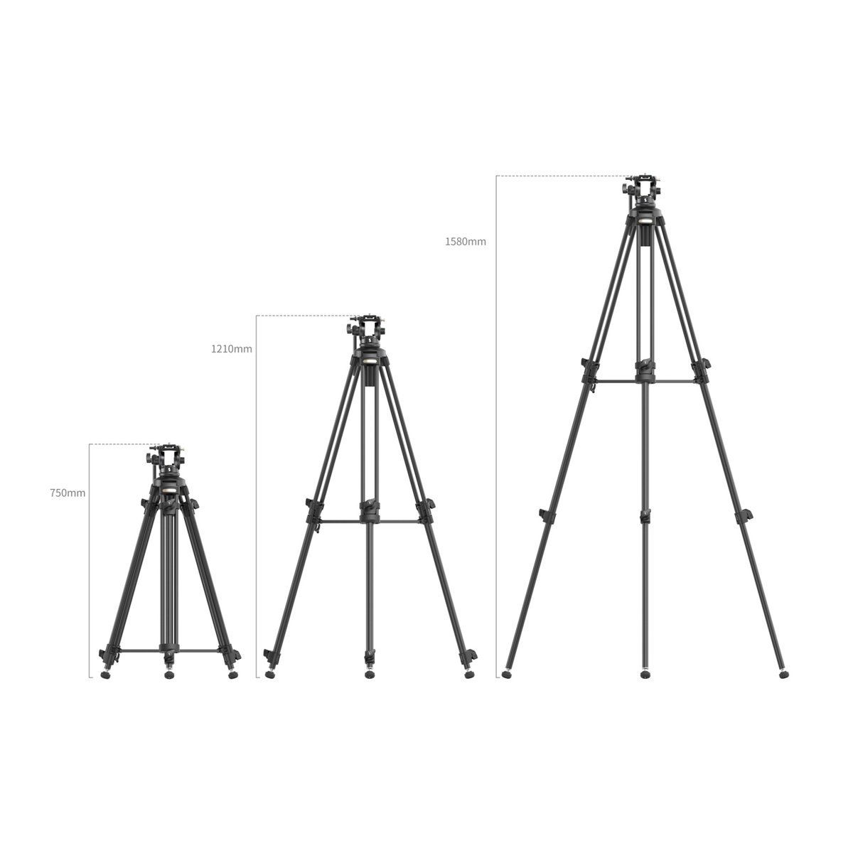 SmallRig 4684 AD-50 Light Stativ - Stativ Höhenvergleich: 750mm, 1210mm, 1580mm