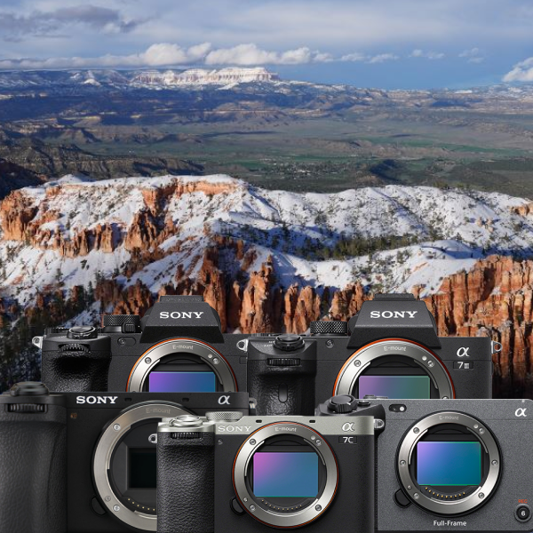 Übersicht verschiedener Sony Alpha Kameras vor Landschaftshintergrund