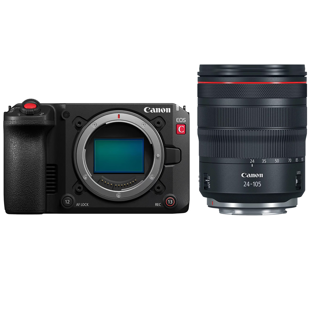 Canon EOS C50 + Canon 24-105 mm 1:4,0 RF L IS USM