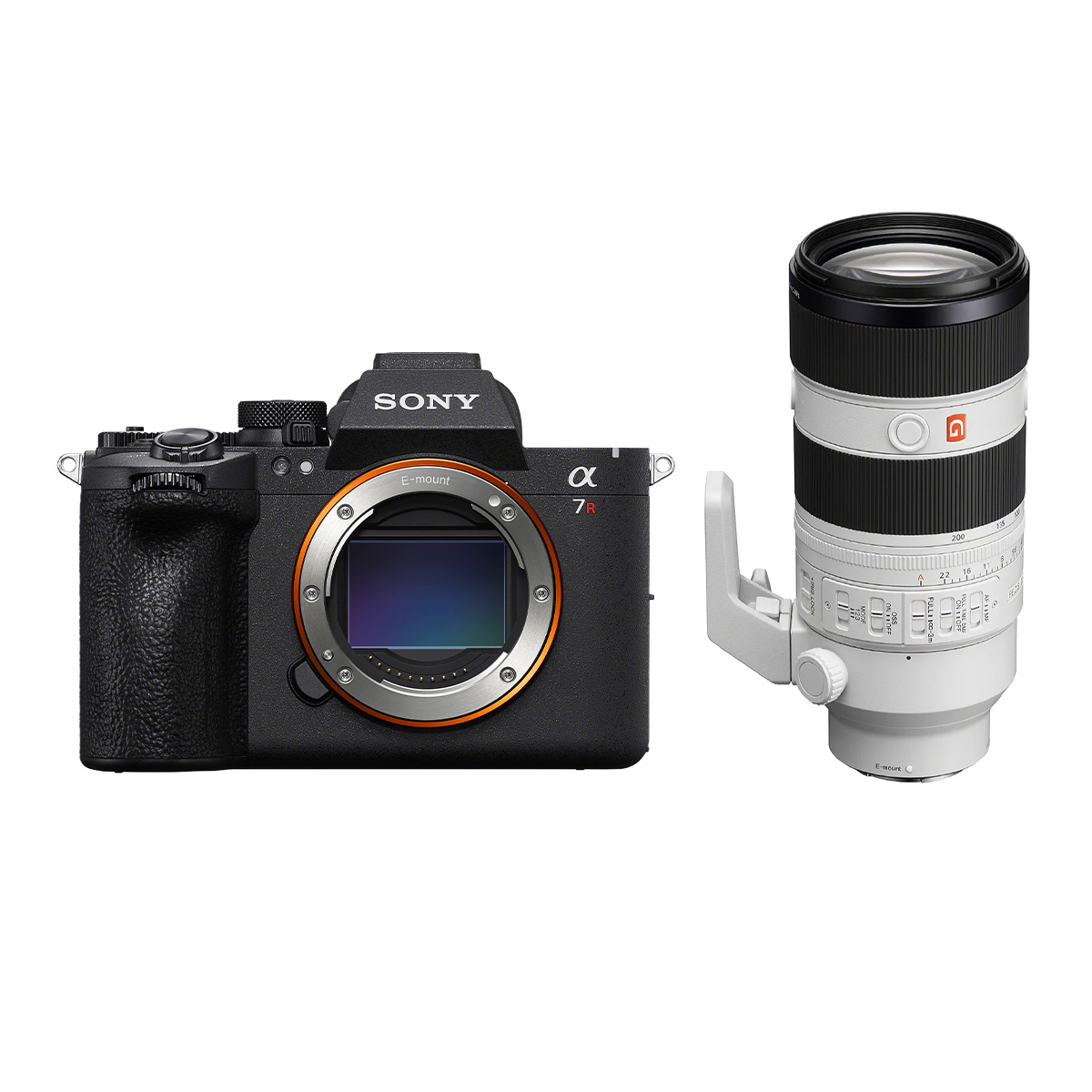 Sony Alpha 7R VI + Sony 70-200 mm 1:2,8 GM OSS II