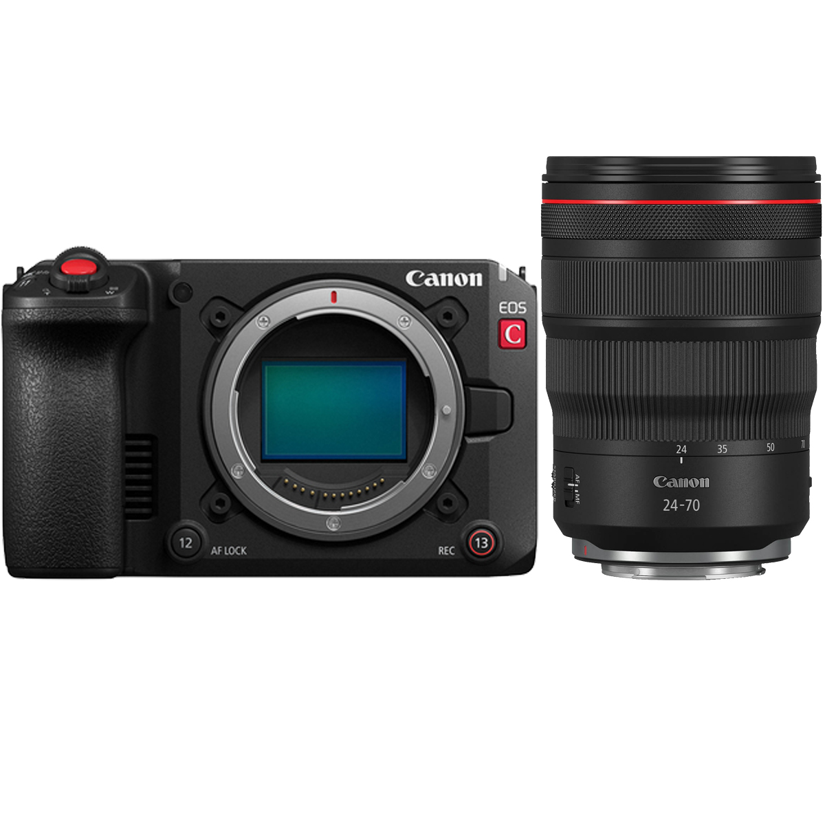 Canon EOS C50 + Canon 24-70 mm 1:2,8 RF L IS USM