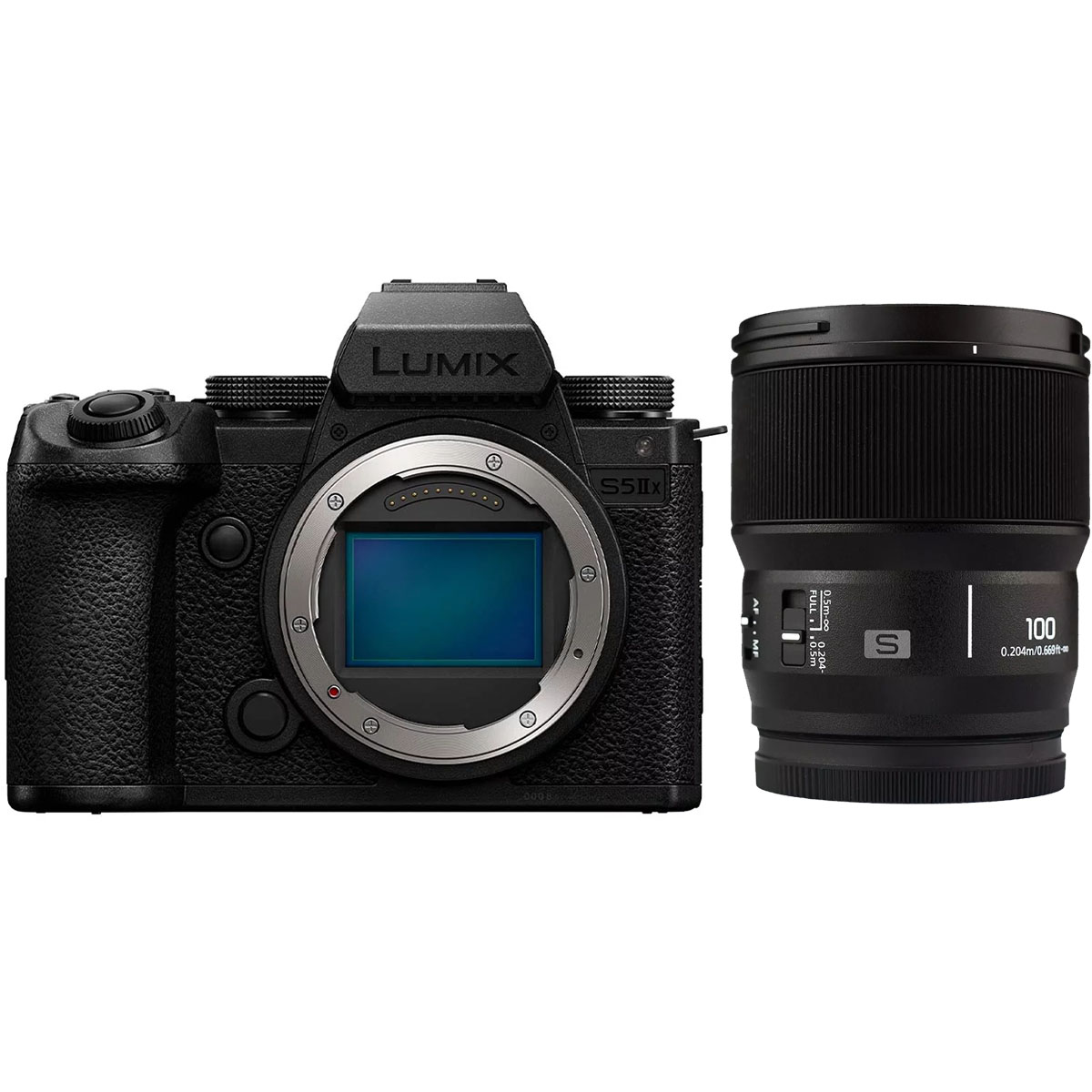 Panasonic Lumix DC-S5 II X + Lumix S 100 mm 1:2.8 Makro