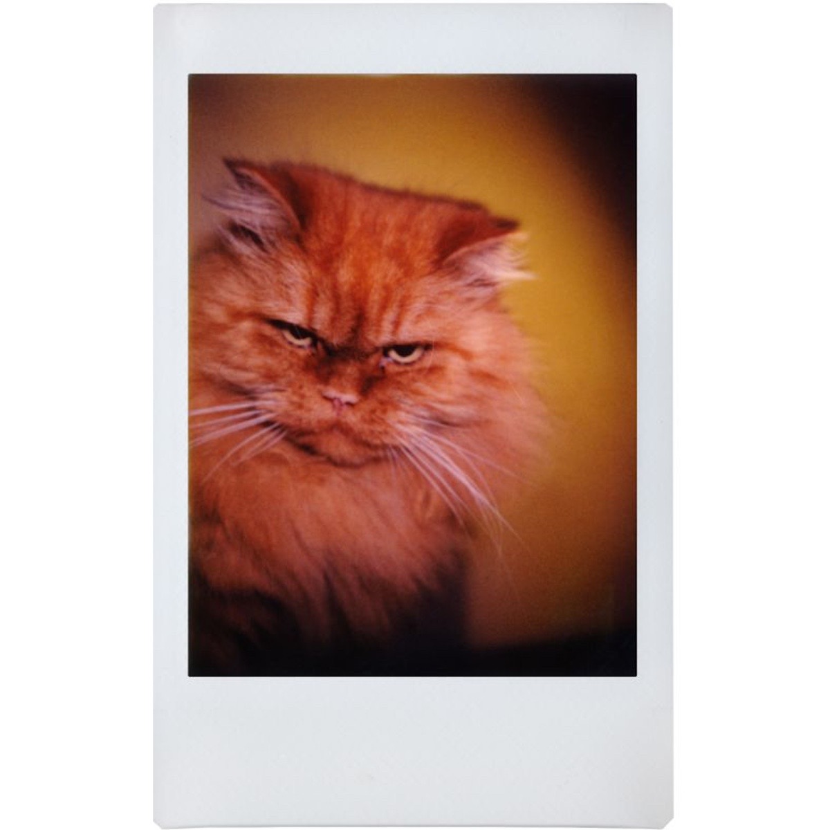 Lomography Lomo’Instant Automat Glass Kilimanjaro Edition