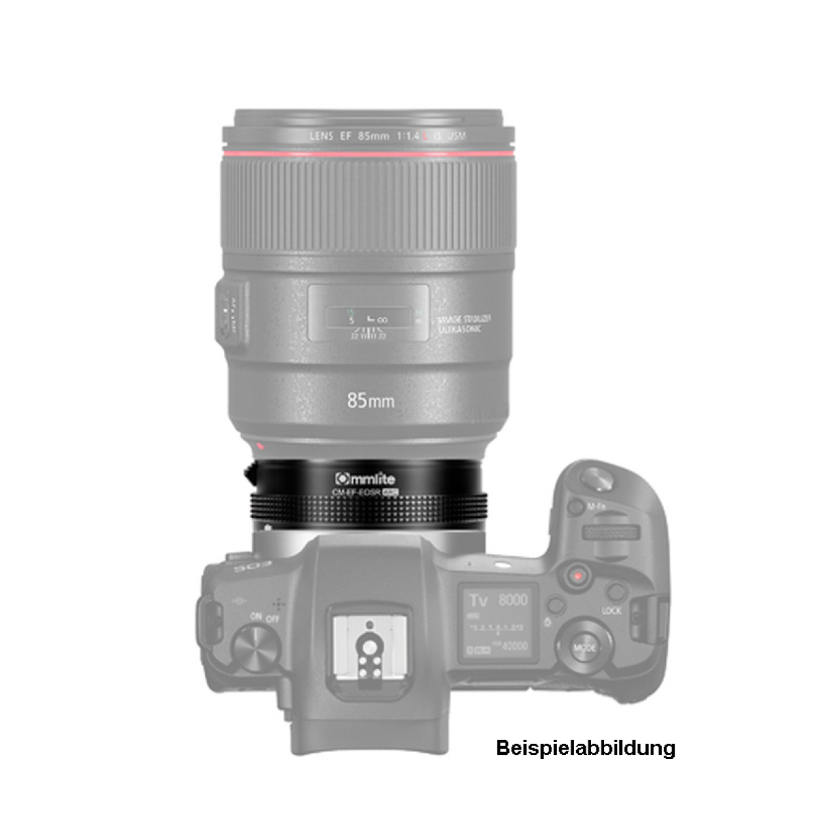 Commlite AF Ring  Adapter Canon EF an Eos-R