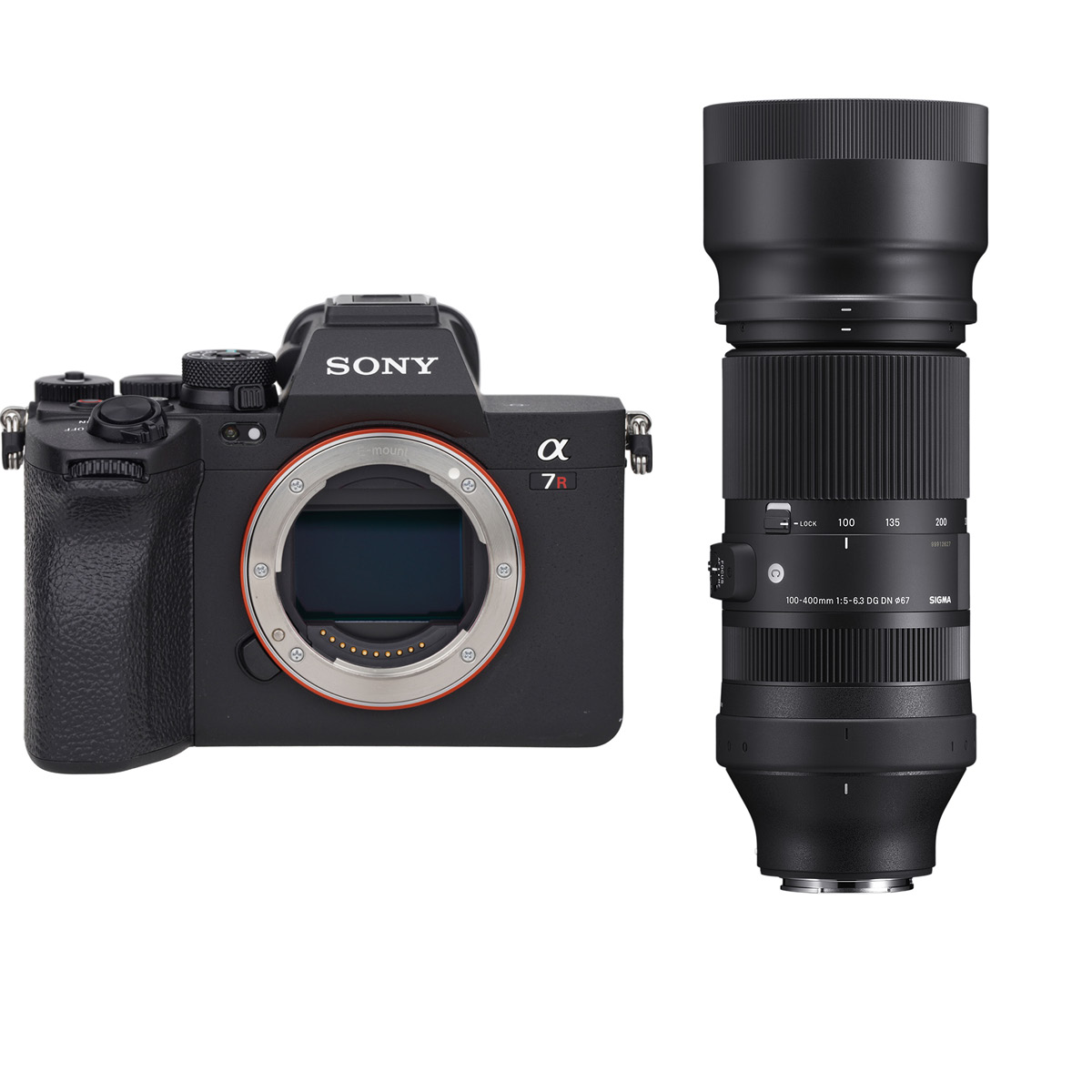 Sony Alpha 7R V + Sigma 100-400 mm 1:5,0-6,3 DG DN OS (C) FE-Mount