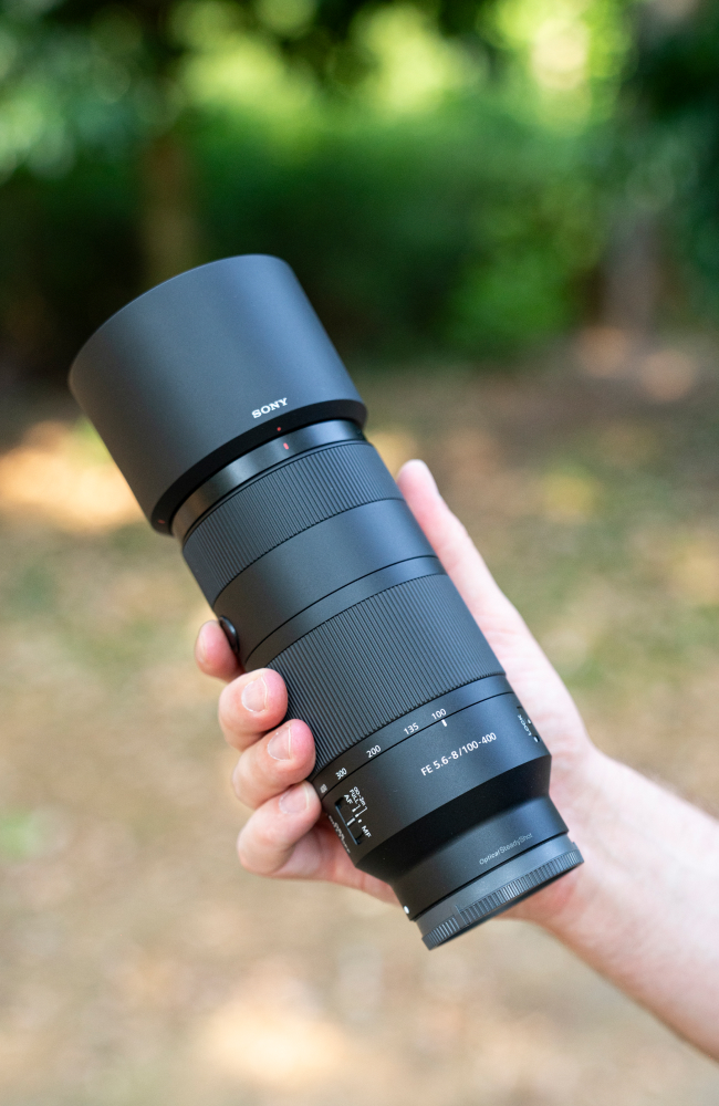 Sony 100-400 mm Telezoom Objektiv Einstieg Birding