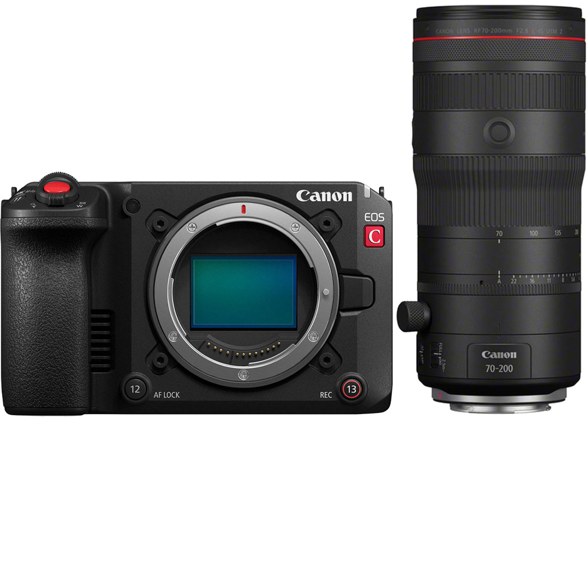 Canon EOS C50 mit Canon 70-200 mm 1:2,8 RF L IS USM Z