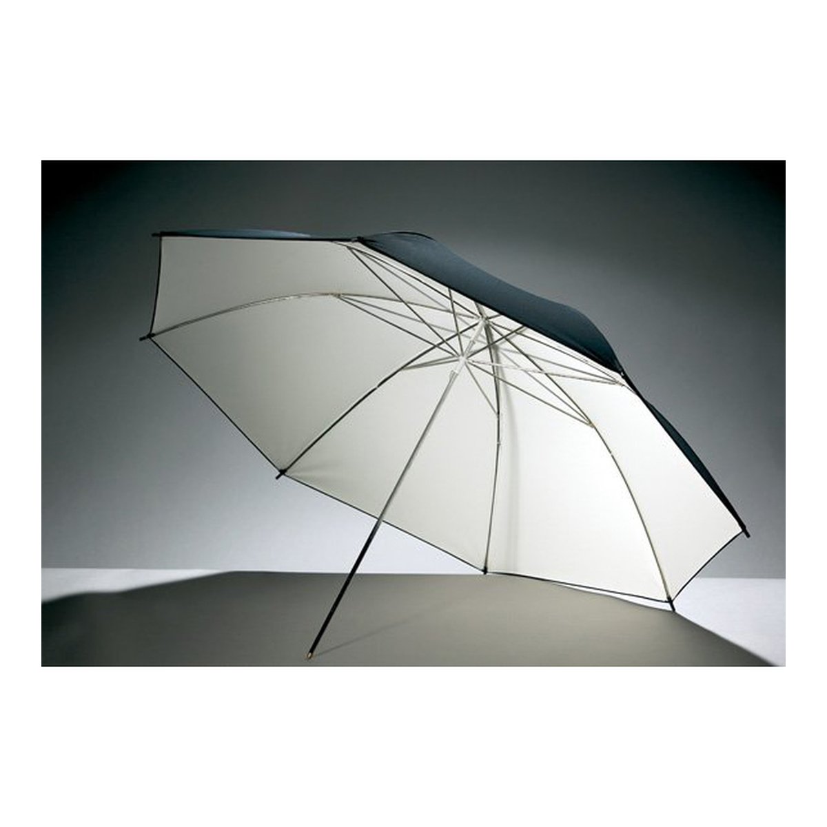 Godox 101cm Speedlight Weiss/Schwarz
