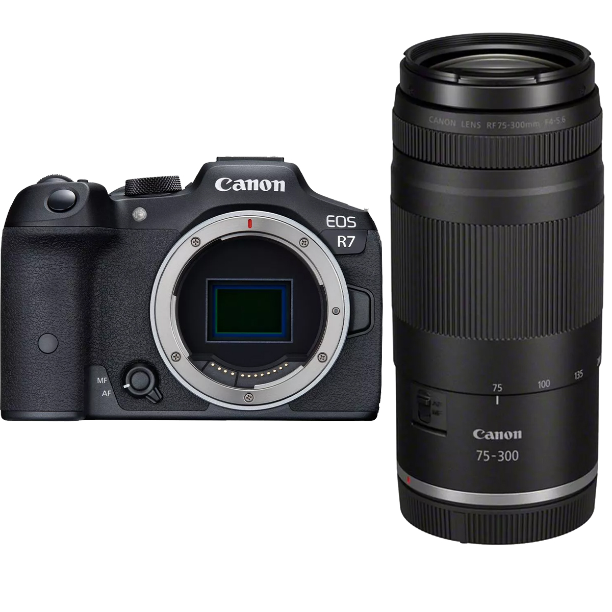 Canon EOS R7 + Canon 75-300 mm 1:4,0-5,6 RF Schwarz