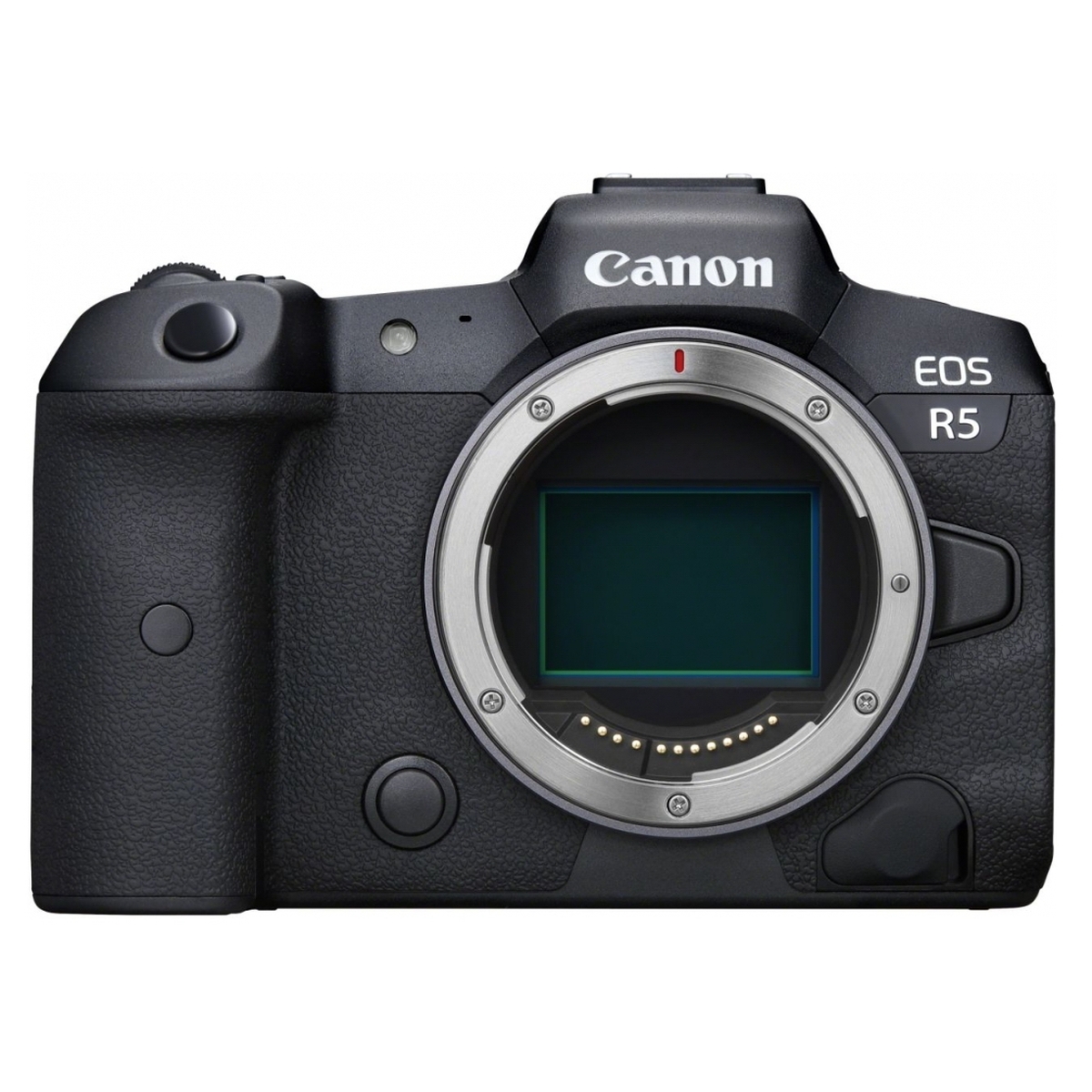 Canon EOS R5 + Canon RF 50 mm 1:1,8