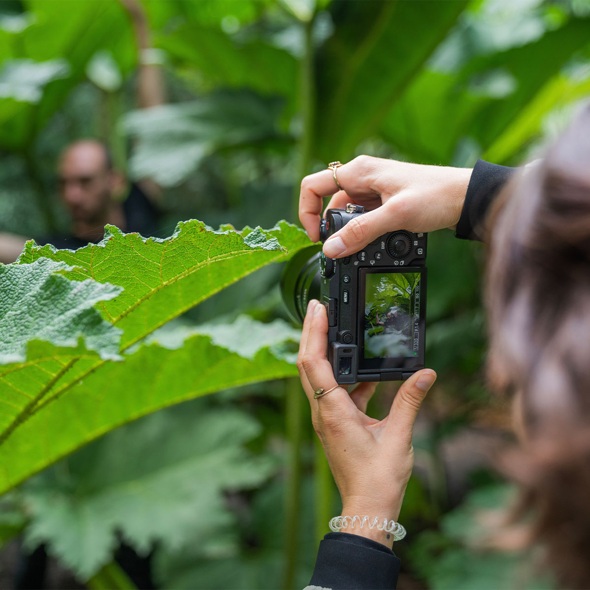 Sony Alpha 7C R Silber Gehäuse 61 MP Mann wird im Urwald mit der Sony Alpha 7C R fotografiert