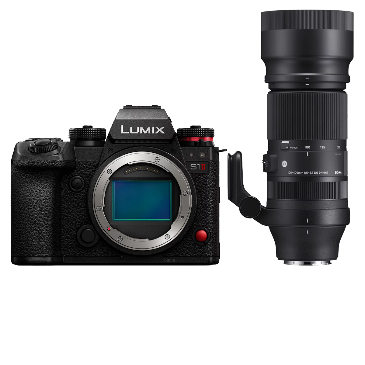 Panasonic Lumix DC-S1 II + Sigma 100-400 mm 1:5-6,3 DN OS (C)
