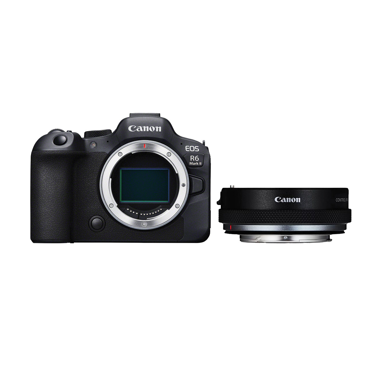 Canon EOS R6 Mark II + Canon EF-EOS R Adapter mit Steuerungsring Canon EOS R6 Mark II + Canon EF-EOS R Adapter mit Steuerungsring
