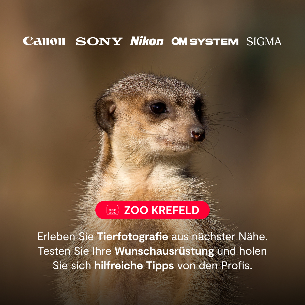 Fotoabend im Zoo Krefeld am Sa. 18.07.2026