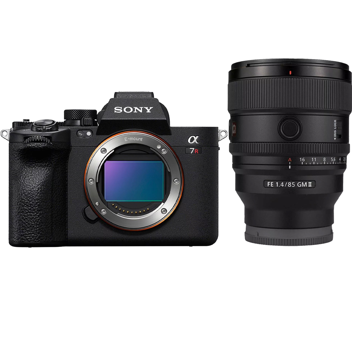 Sony Alpha 7R V + Sony 85 mm 1:1.4 FE GM II