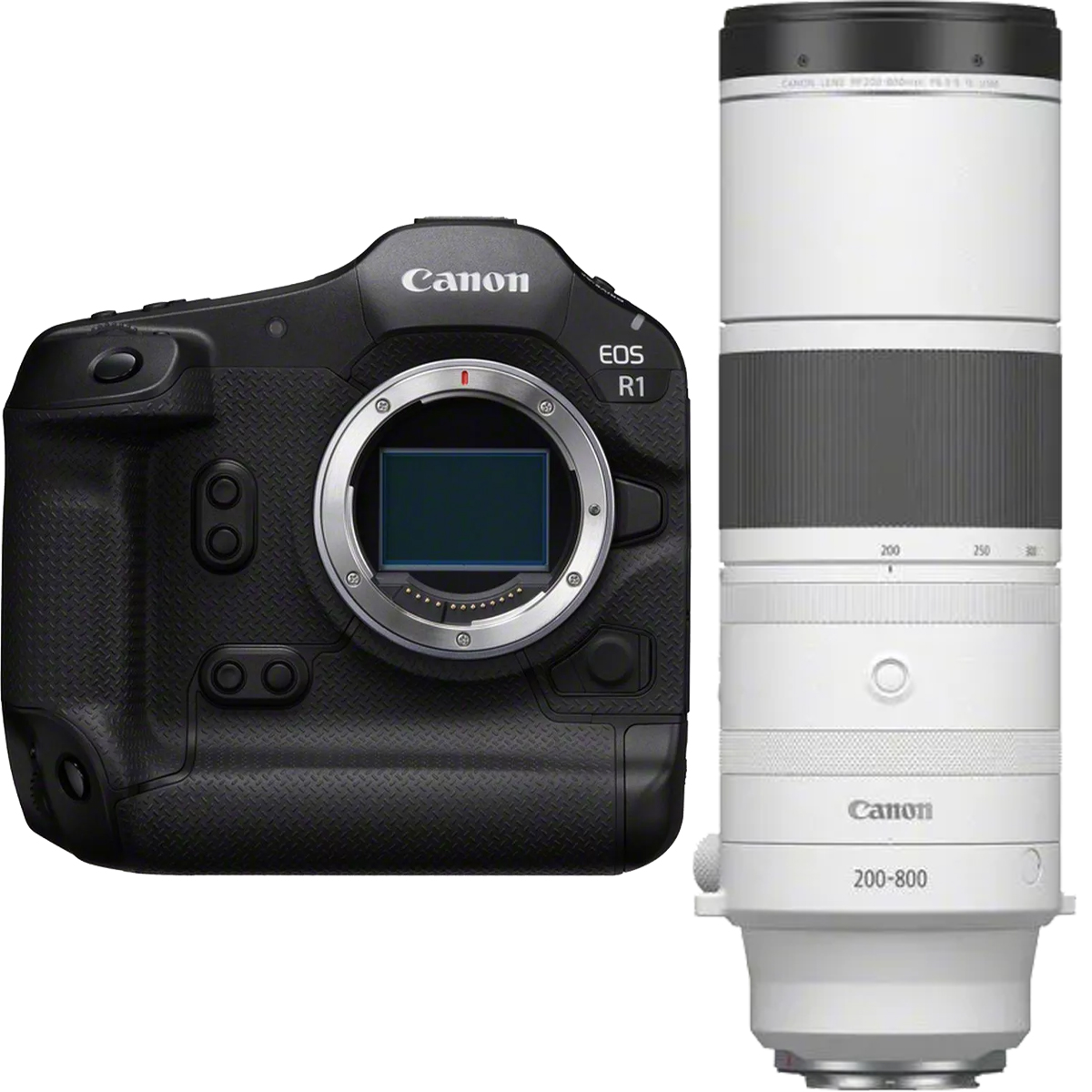 Canon EOS R1 + Canon RF 200-800 mm 1:6,3-9 IS USM
