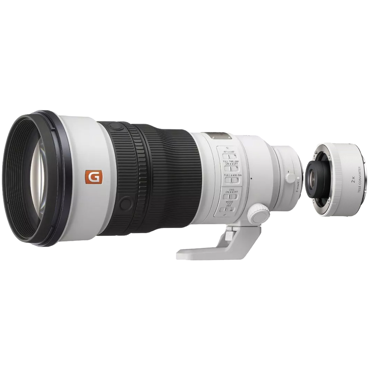Sony 300 mm 1:2,8 GM OSS + Sony 2x Telekonverter E-Mount