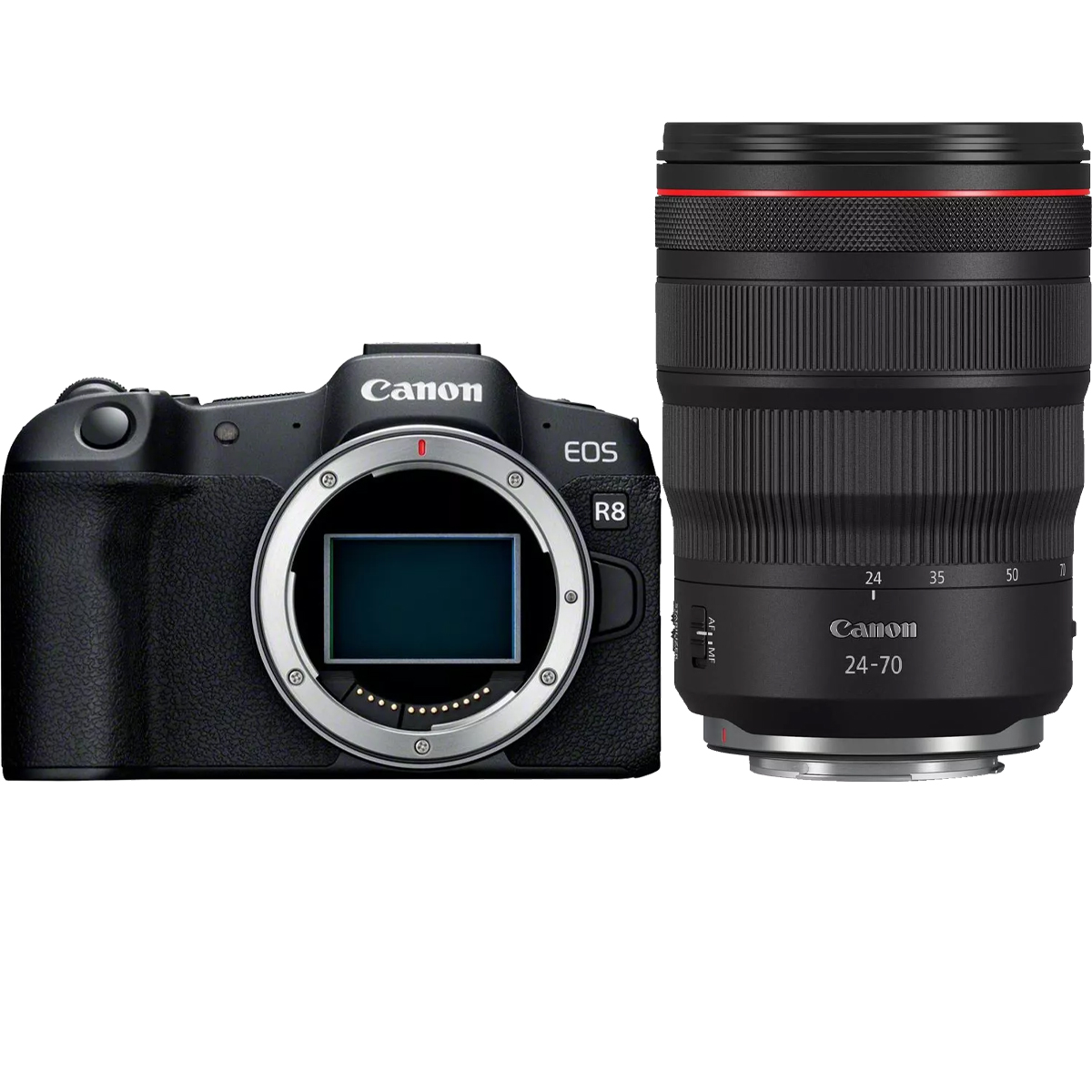 Canon EOS R8 + Canon RF 24-70 mm 1:2,8 L IS USM