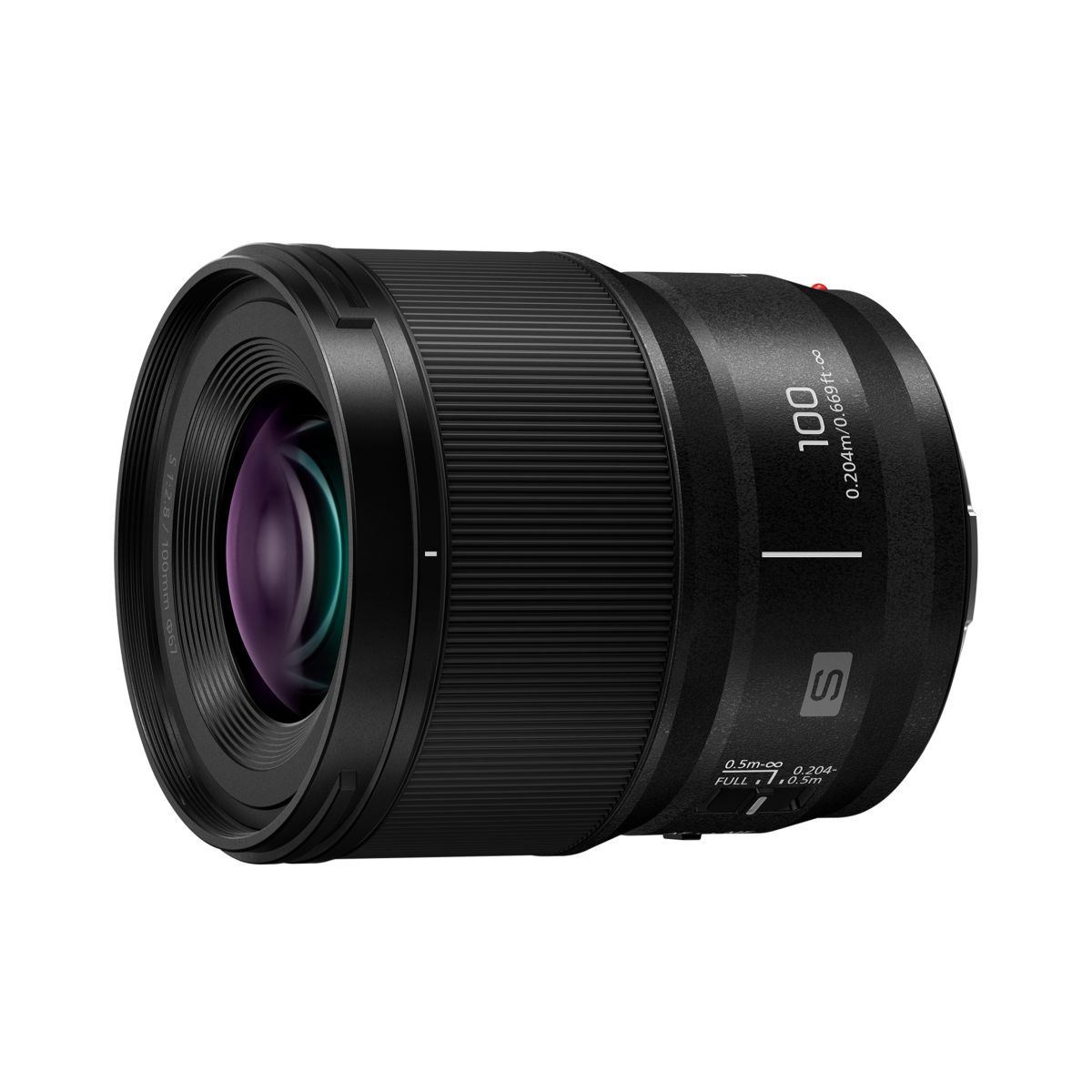 Panasonic Lumix S 100 mm 1:2.8 Makro