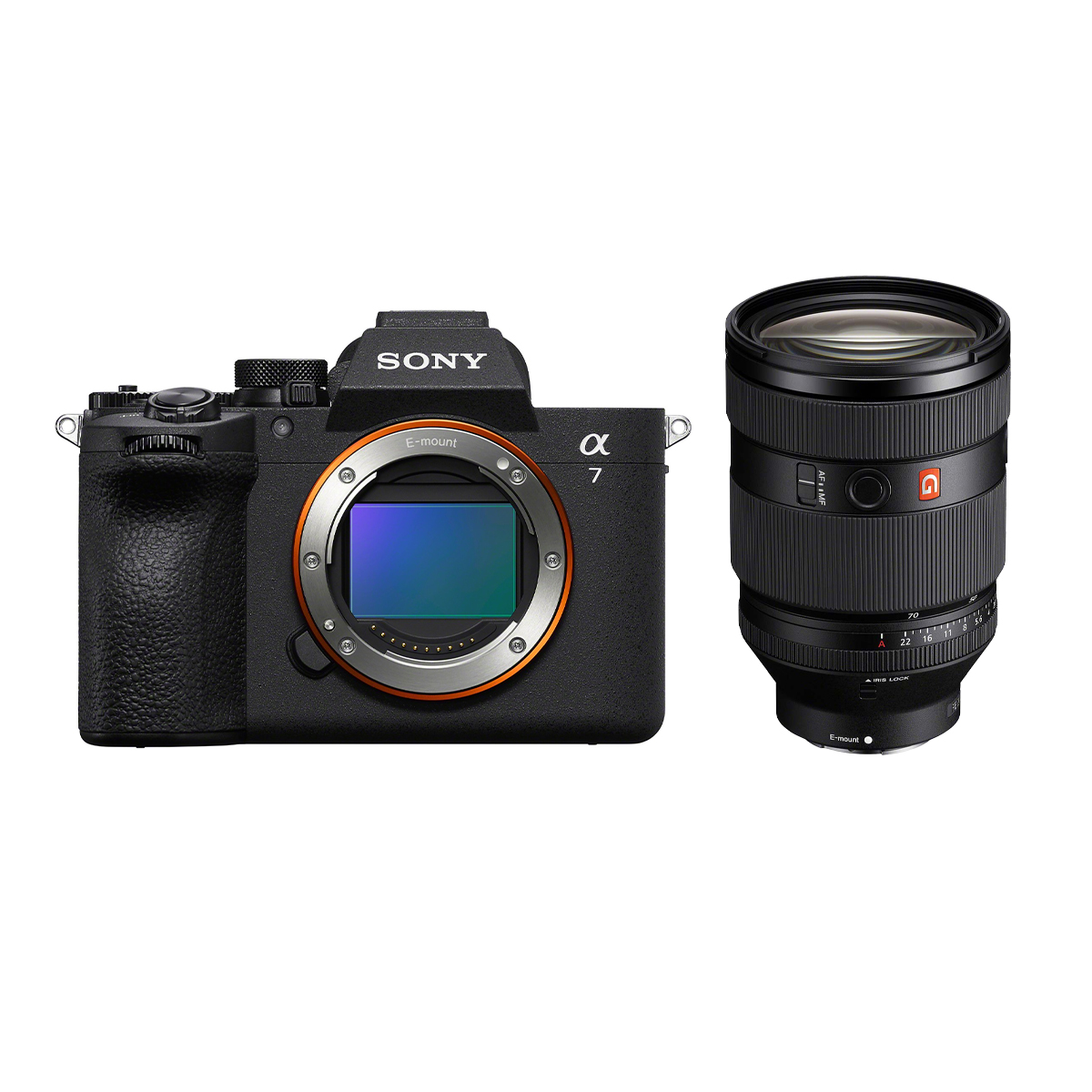 Sony Alpha 7 V + Sony 28-70 mm 1:2,0 GM FE