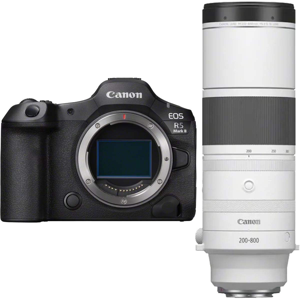 Canon EOS R5 II + Canon RF 200-800 mm 1:6,3-9 IS USM Canon EOS R5 II + Canon RF 200-800 mm 1:6,3-9 IS USM