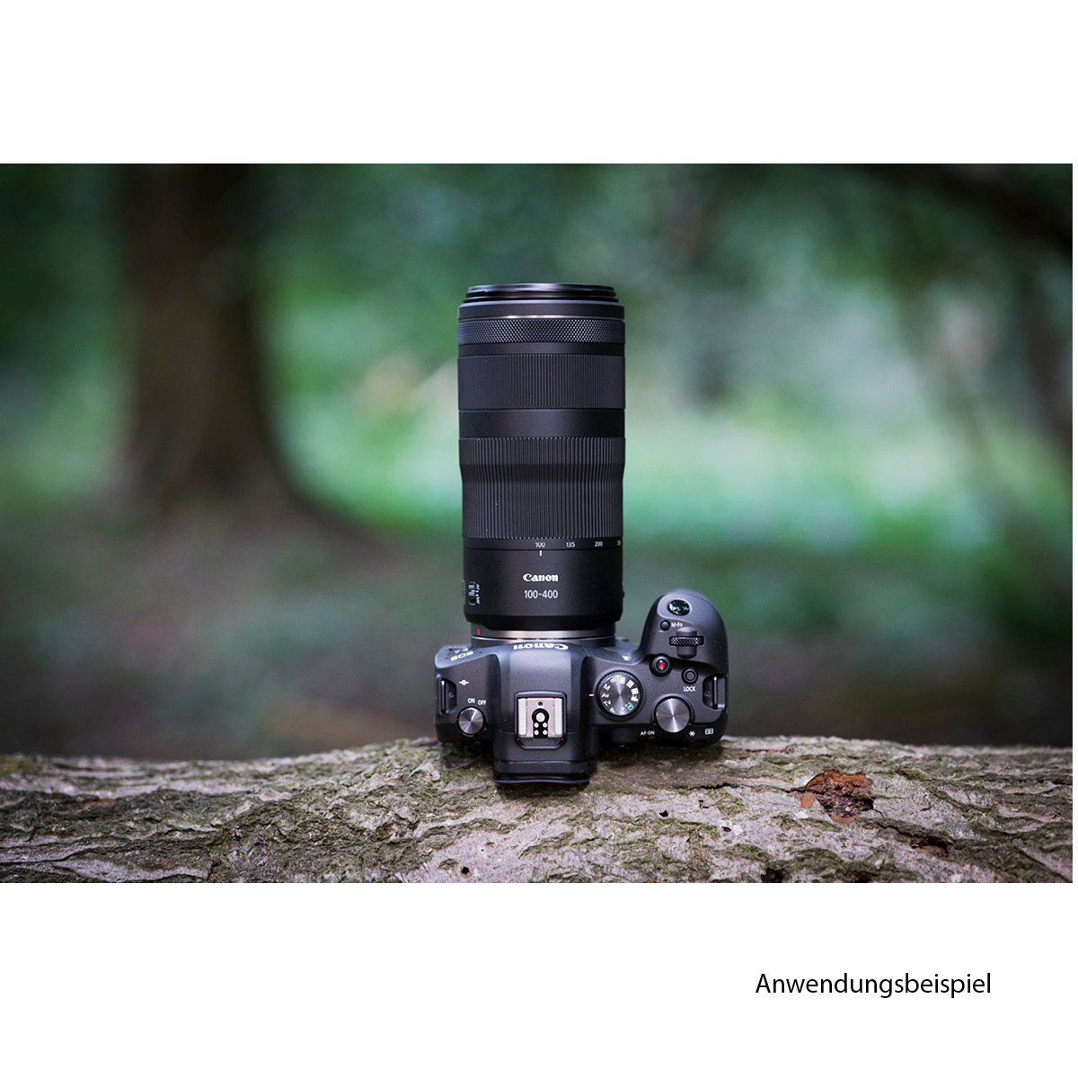 Canon RF 100-400 mm 1:5,6-8  IS USM