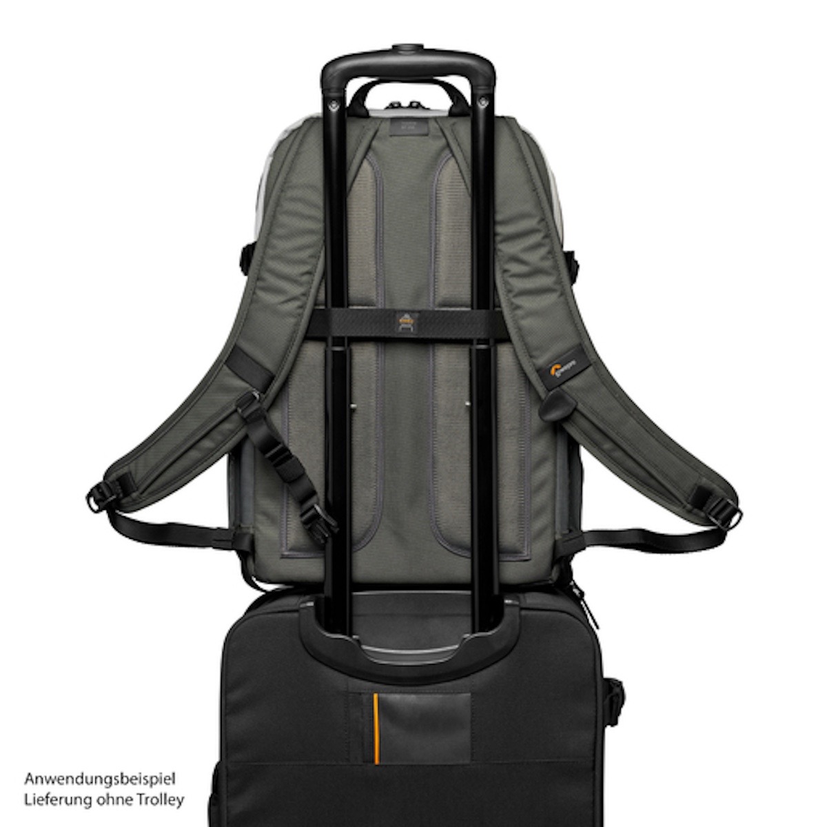 Lowepro Truckee BP 250 LX