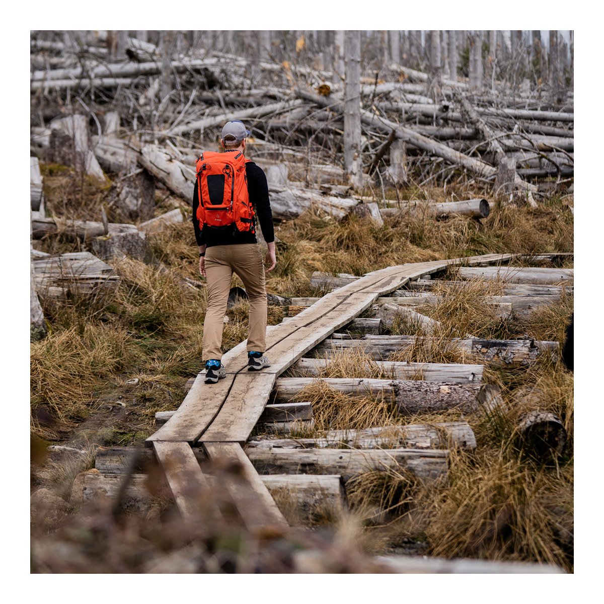 F-Stop DuraDiamond Tilopa - Magma - Anwendungsbeispiel: Rückansicht des orangefarbenen Rucksacks beim Wandern auf Holzsteg. F-Stop DuraDiamond Tilopa - Magma - Anwendungsbeispiel: Rückansicht des orangefarbenen Rucksacks beim Wandern auf Holzsteg.