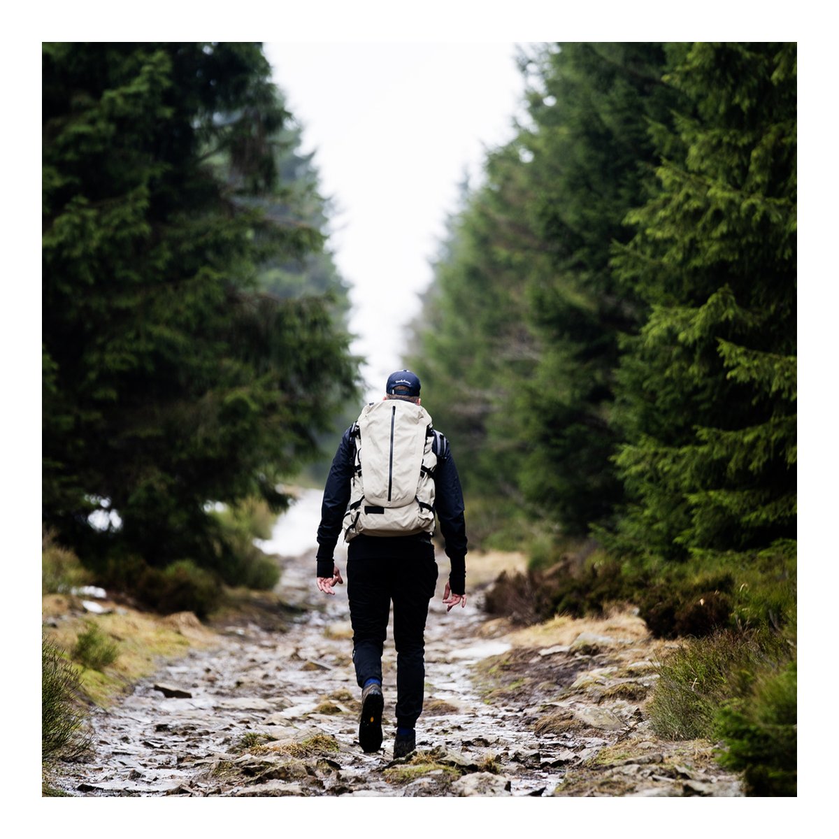 Wandrd Fernweh M/L Tan Photo Bundle - Anwendungsbeispiel: Rucksack beim Wandern von hinten, umgeben von Wald.