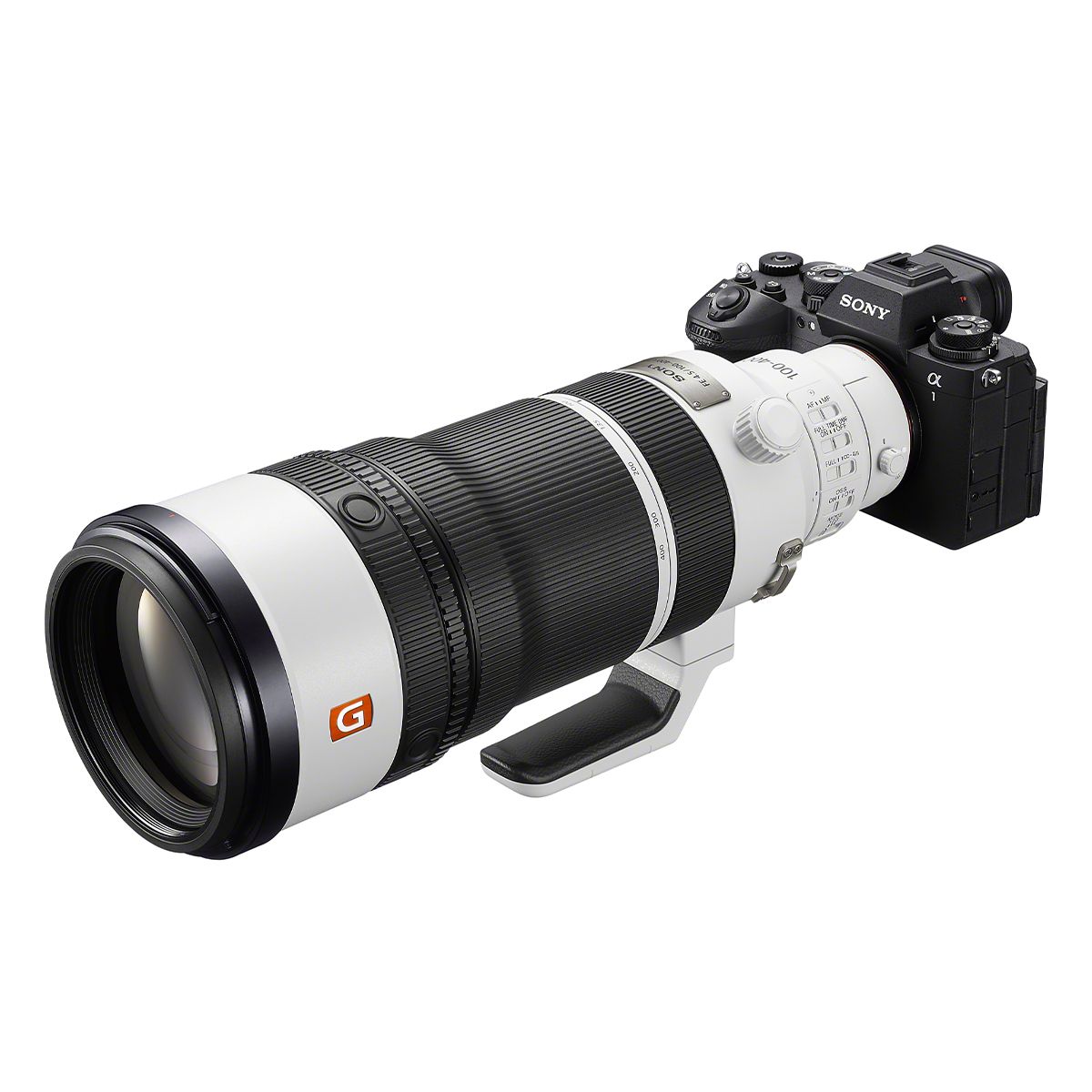 Sony 100-400 mm 1:4,5 FE GM OSS