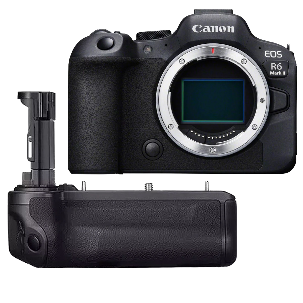 Canon EOS R6 Mark II + Canon BG-R20 Akkugriff Canon EOS R6 Mark II + Canon BG-R20 Akkugriff