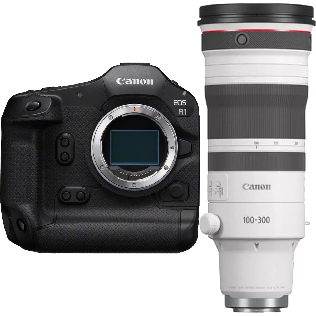 Canon EOS R1 + Canon RF 100-300 mm 1:2,8 L IS USM Canon EOS R1 + Canon RF 100-300 mm 1:2,8 L IS USM