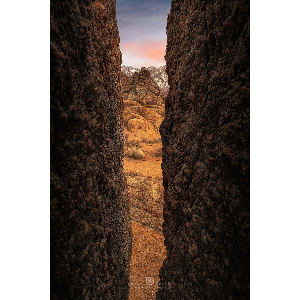 LAOWA 24mm T14 2X Periprobe für Sony E Vollformat