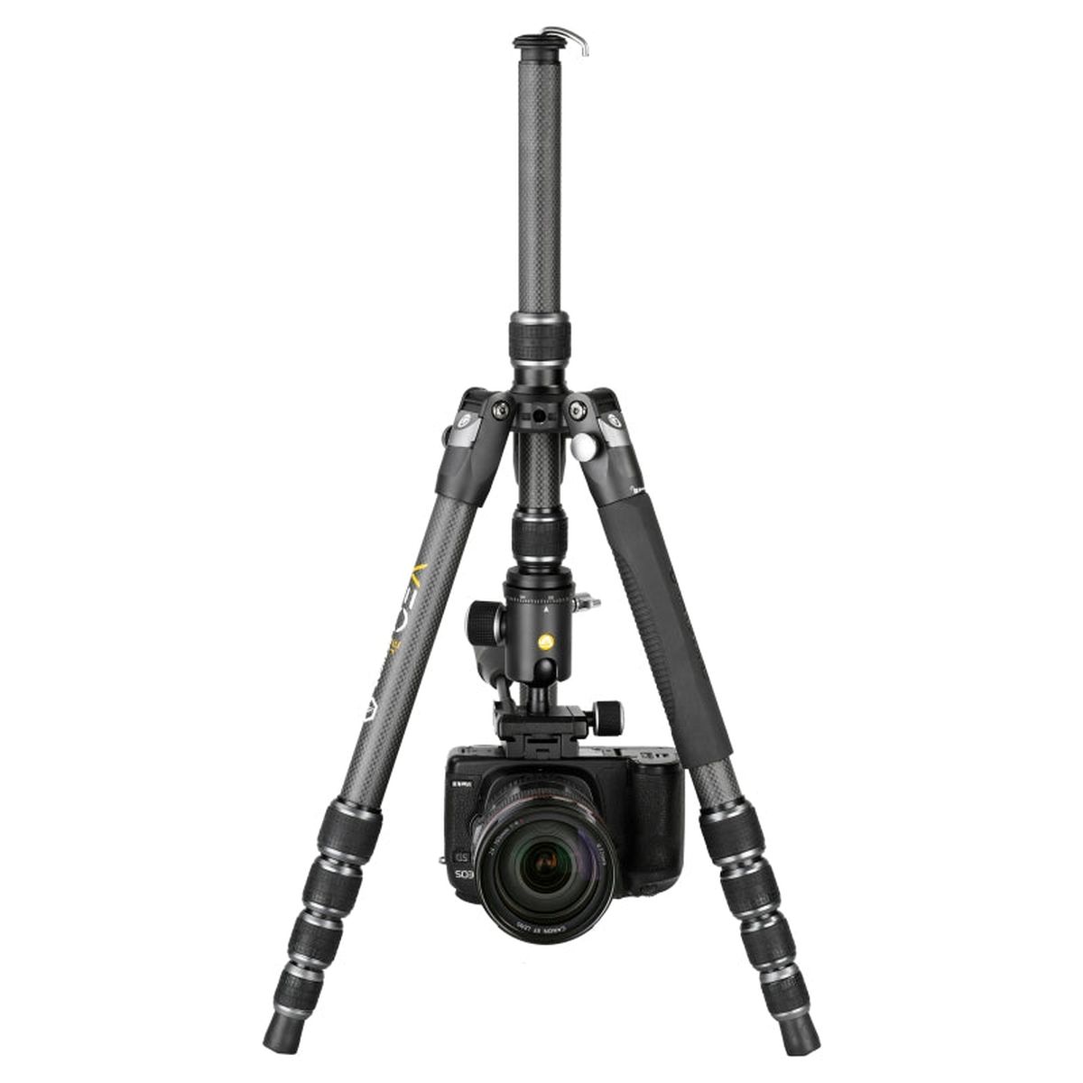 Vanguard VEO3T 204CBP 