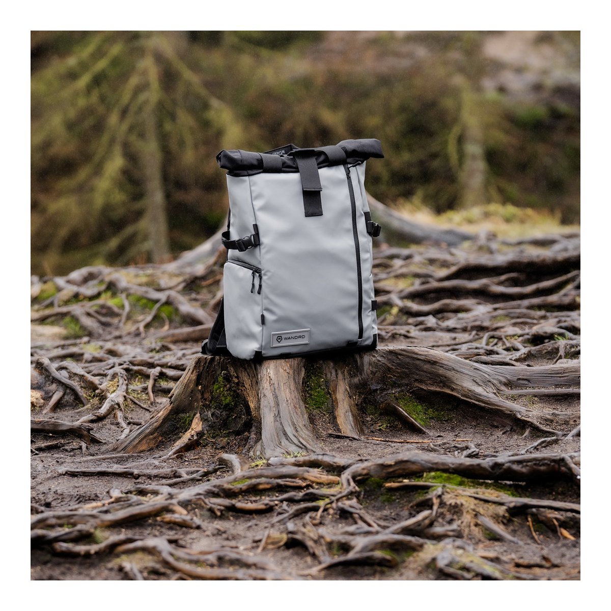 WANDRD PRVKE 41-Liter DisNet Grey V3 - Anwendungsbeispiel: Grauer Roll-Top-Rucksack in natürlicher Umgebung auf Baumstumpf