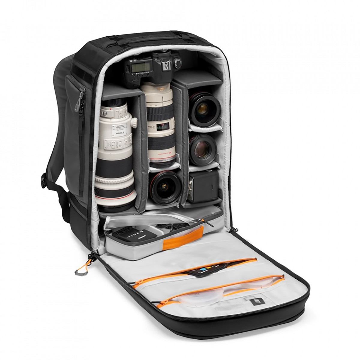 Lowepro Pro Trekker BP 450 AW II 