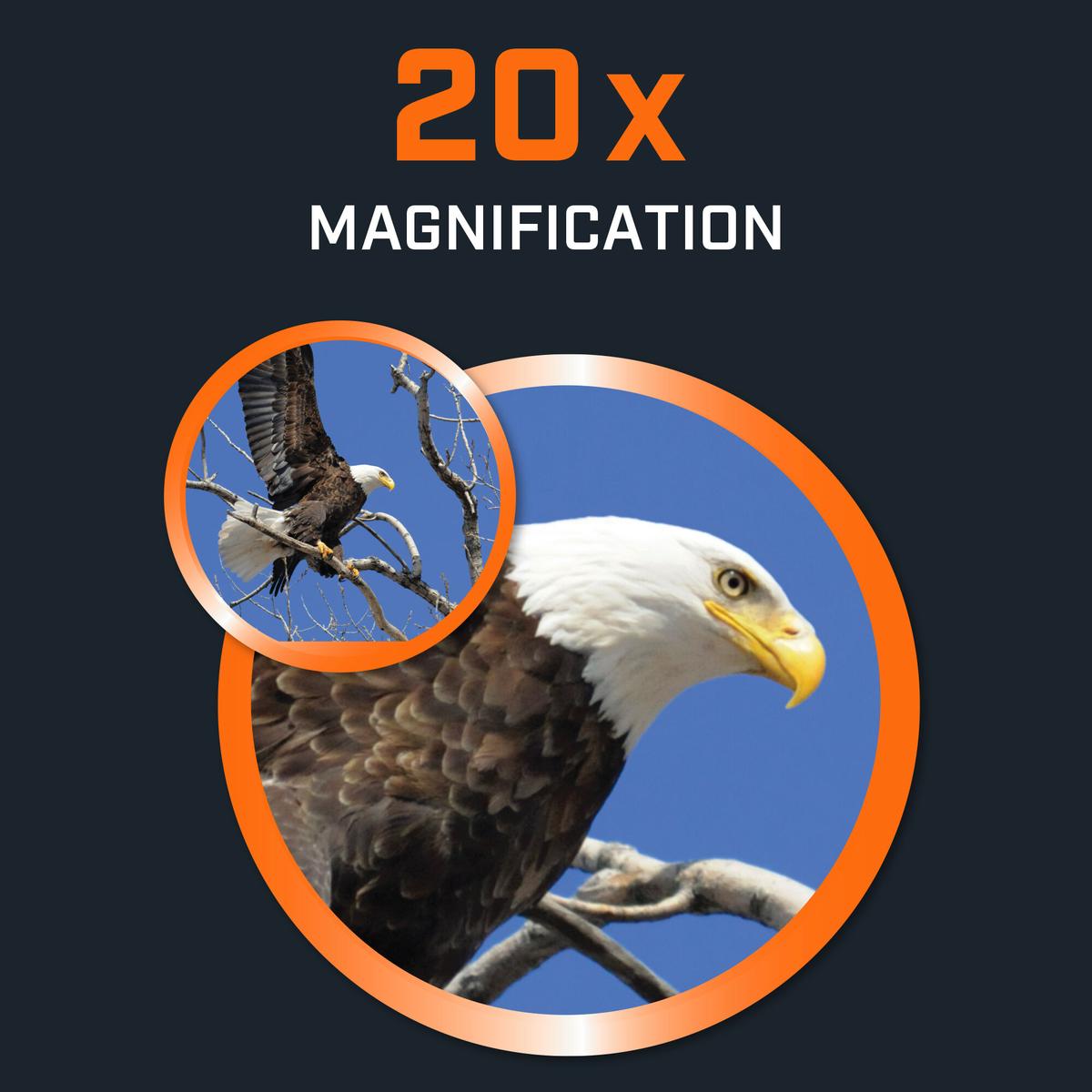 Bushnell 2.0 20X50 Powerview Alu Fernglas