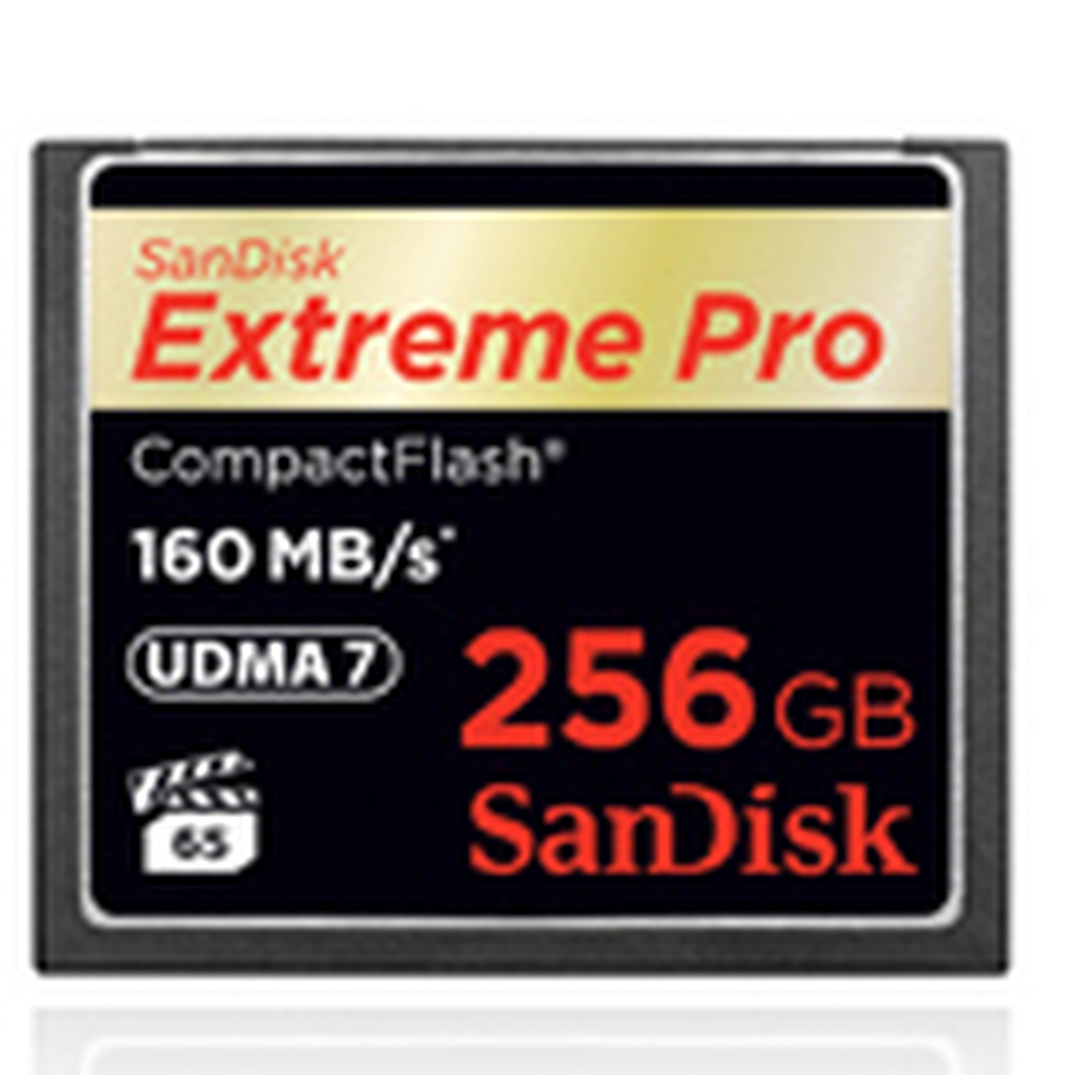 SanDisk 256 GB CompactFlash ExtremePro
